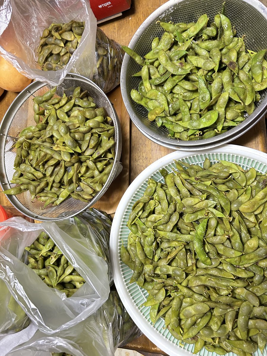 魅惑のパオ☆パオルーム(PAOH) (@paopaoroom) / Posts / X