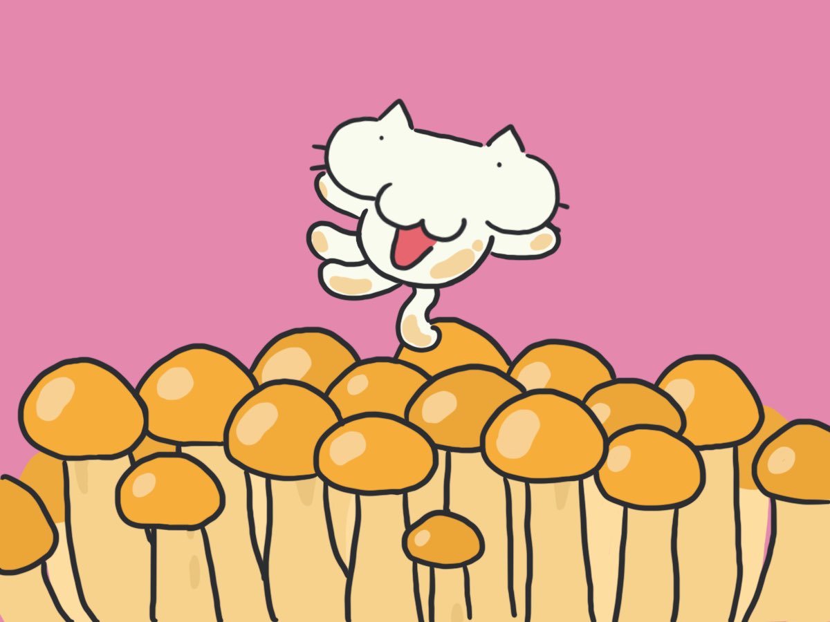 おまねこ おまにゃん tweet media