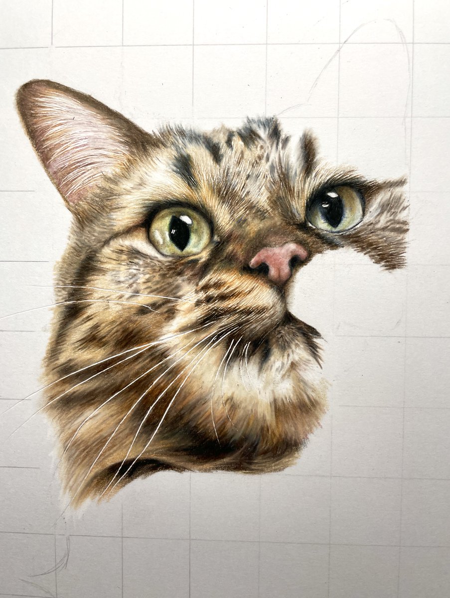 ひーさん｜色鉛筆画✏️ (@hi3_xxx) / Posts / X