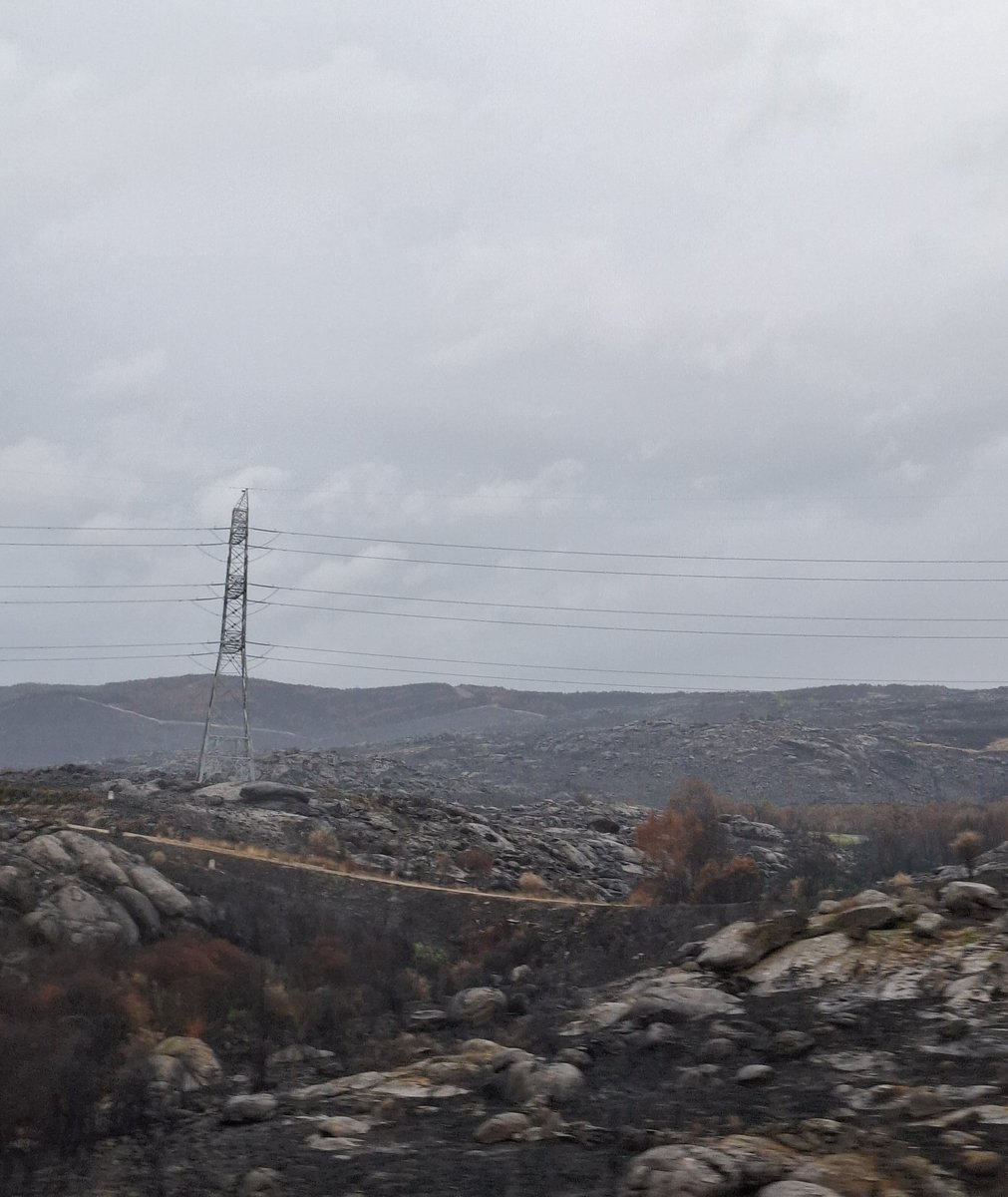AlianzaMarmenor's tweet image. Es desolador comprobar con las primeras lluvias del otoño la desastrosa situación que han dejado los terribles #incendios de este verano en #España.
Tanta riqueza perdida.
Sin futuro por generaciones.
Y las Administraciones autonómicas echando a la calle a quienes deben prevenir.