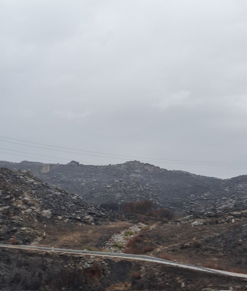 AlianzaMarmenor's tweet image. Es desolador comprobar con las primeras lluvias del otoño la desastrosa situación que han dejado los terribles #incendios de este verano en #España.
Tanta riqueza perdida.
Sin futuro por generaciones.
Y las Administraciones autonómicas echando a la calle a quienes deben prevenir.