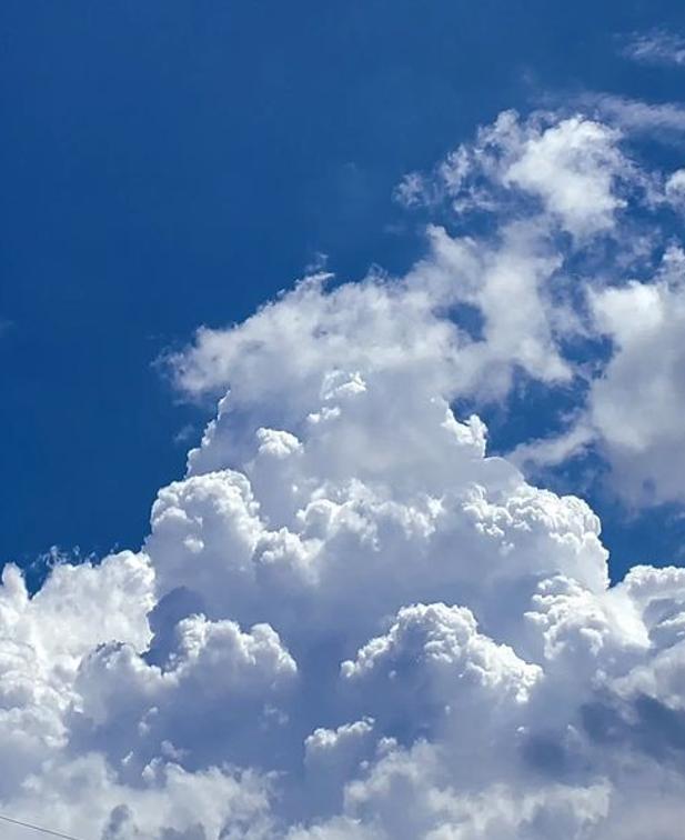 金曜日の夕方、曇り。
のんびり気分で読書する。 ⭐