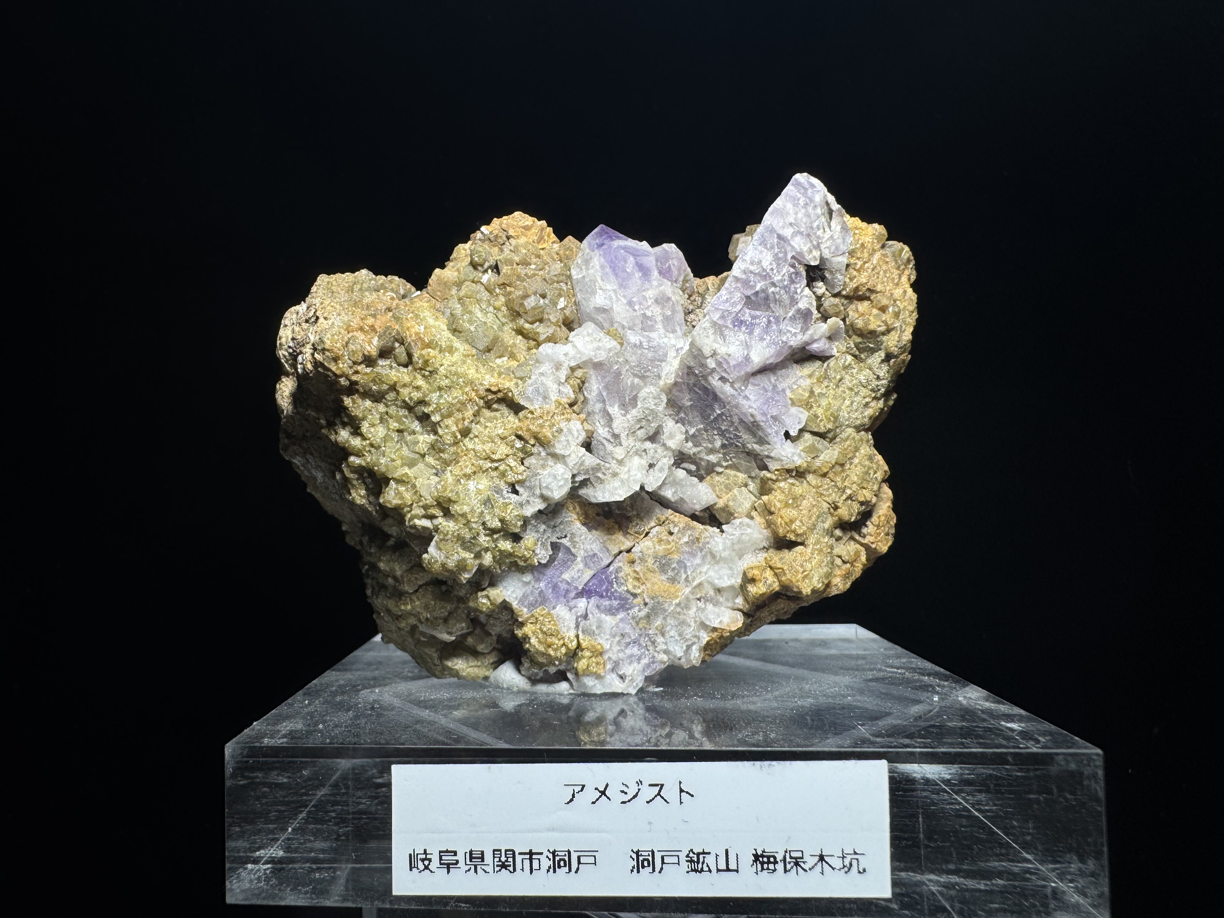 叢雲 正規品】送料無料！哀川翔プロデュース SAMURAI SHO サムライ