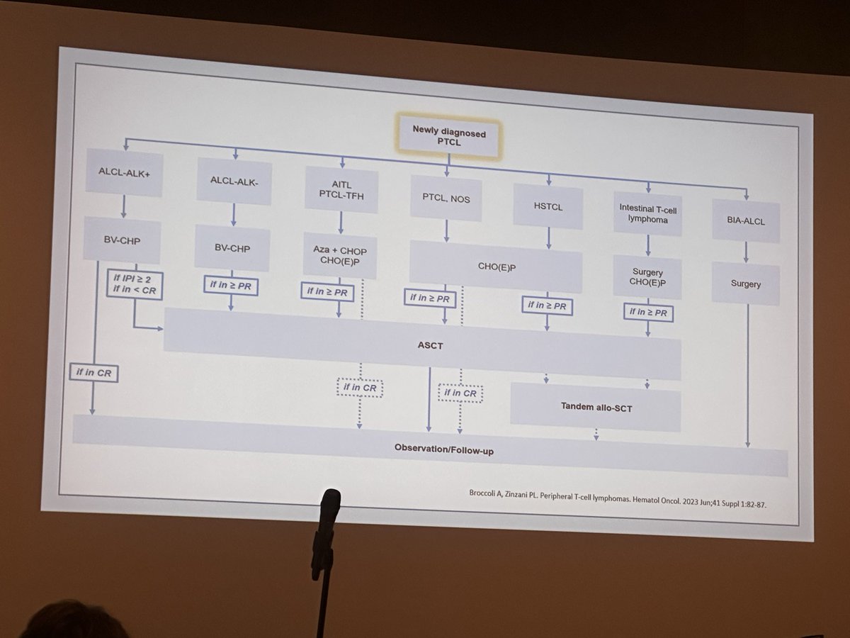 Peripheric T cell lymphoma treatment algorithm