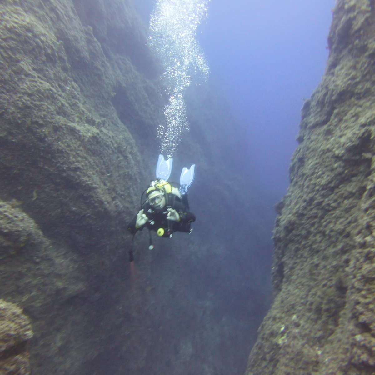 #NouvellePhotoDeProfil pendant que d'autres étaient au taff. Bon OK je reprends demain (cc <a href="/TER_BFC_Trafic/">TRAIN Mobigo par SNCF Voyageurs</a> )