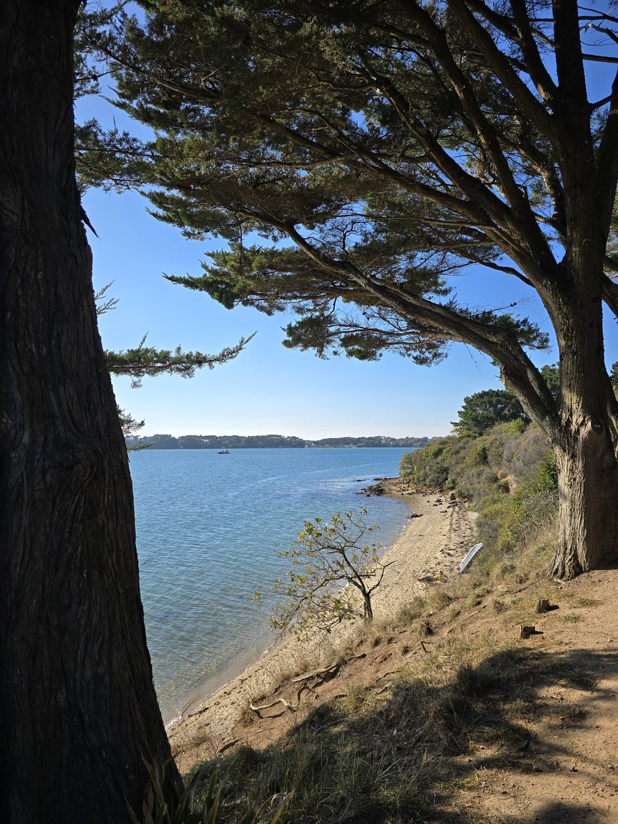 Golfe du #Morbihan 
#Bretagne