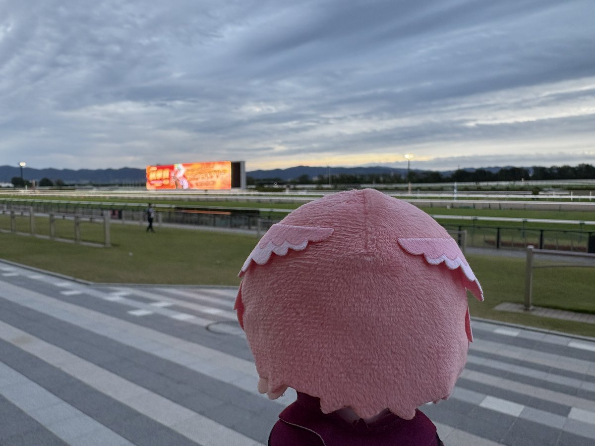 かしわもち (@st_kashiwamochi) / Posts / X