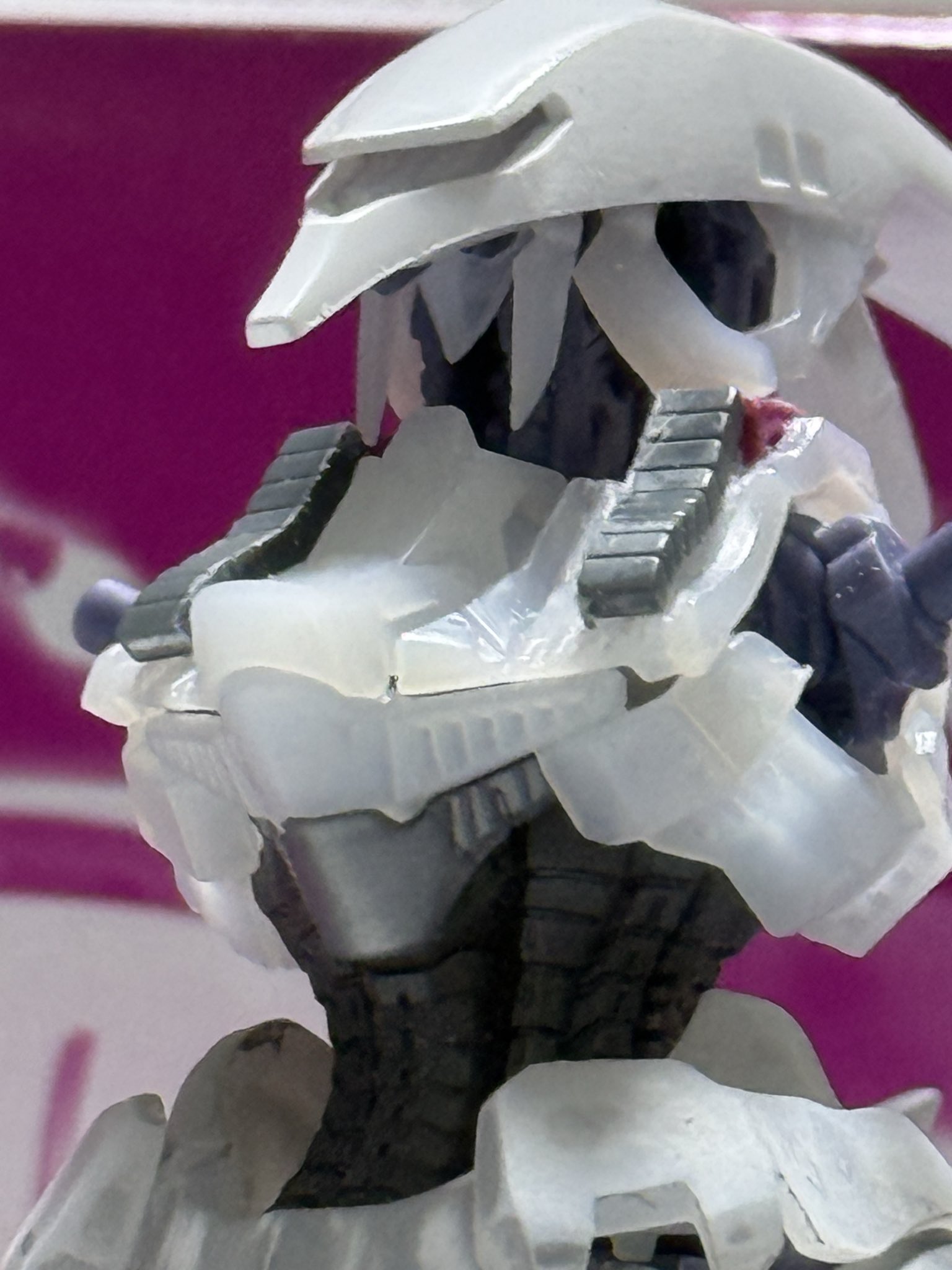 うさねこまる (@usa_neko_maru) / X