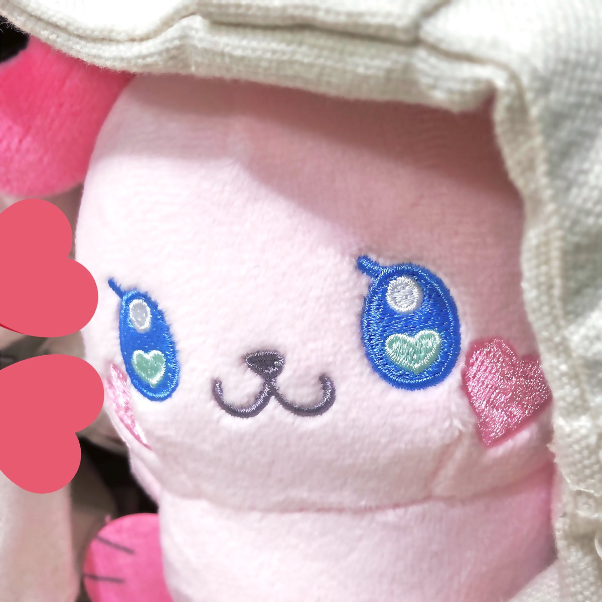 ぷちきゅあ‼️‼️ぷちきゅあ‼️‼️