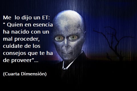 Carlos Bogdanich (@bogdanichcarlos) on Twitter photo 