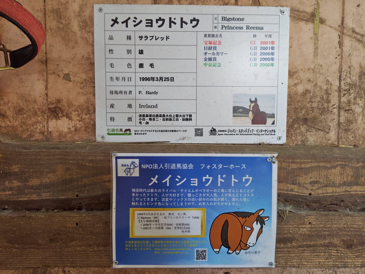 🐴💫 The official announcement from #NorthernLake, home of our precious #MeishoDoto!

The farm will start its very first #crowdfunding project on October 24 to rebuild the old barns and give the horses a safer, cozier home. 🏠💖

They’ve been doing their best by hand, but it’s