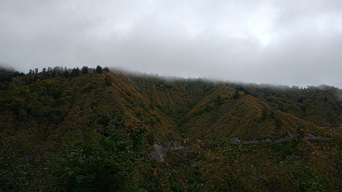 hkaise's tweet photo. 晴れていればもっと綺麗🍁
#国道352号 #R352 #酷道 https://t.co/hoGwFRYqva