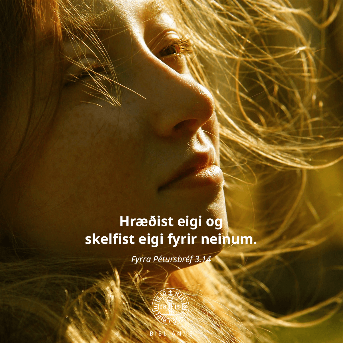 Hið íslenska biblíufélag (@bibliufelagid) on Twitter photo 