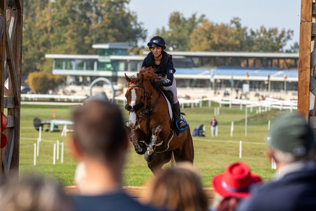 André MARTIN tweet media