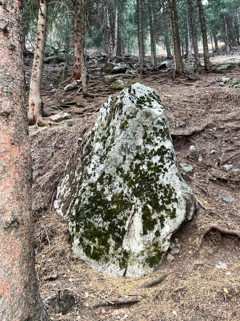 zov_moroz's tweet image. Там, на неведомых дорожках ... #Аюсай