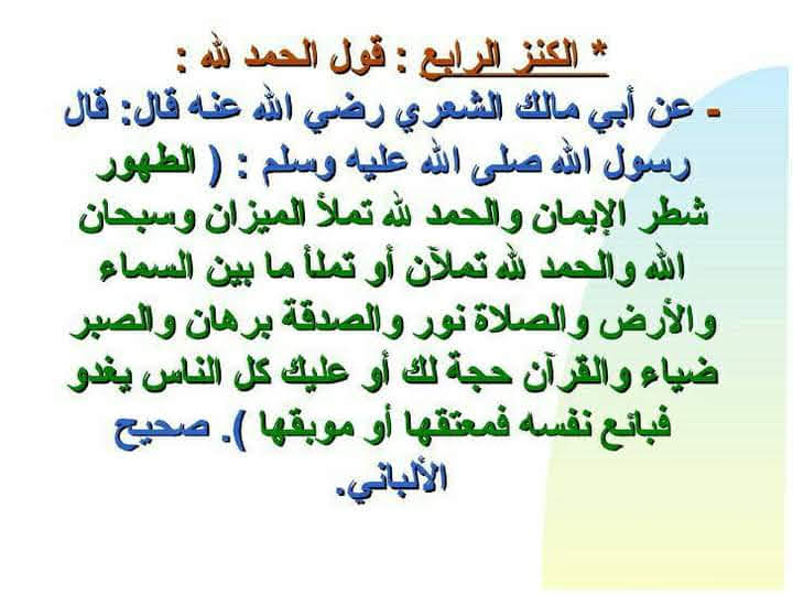 السيد . tweet media