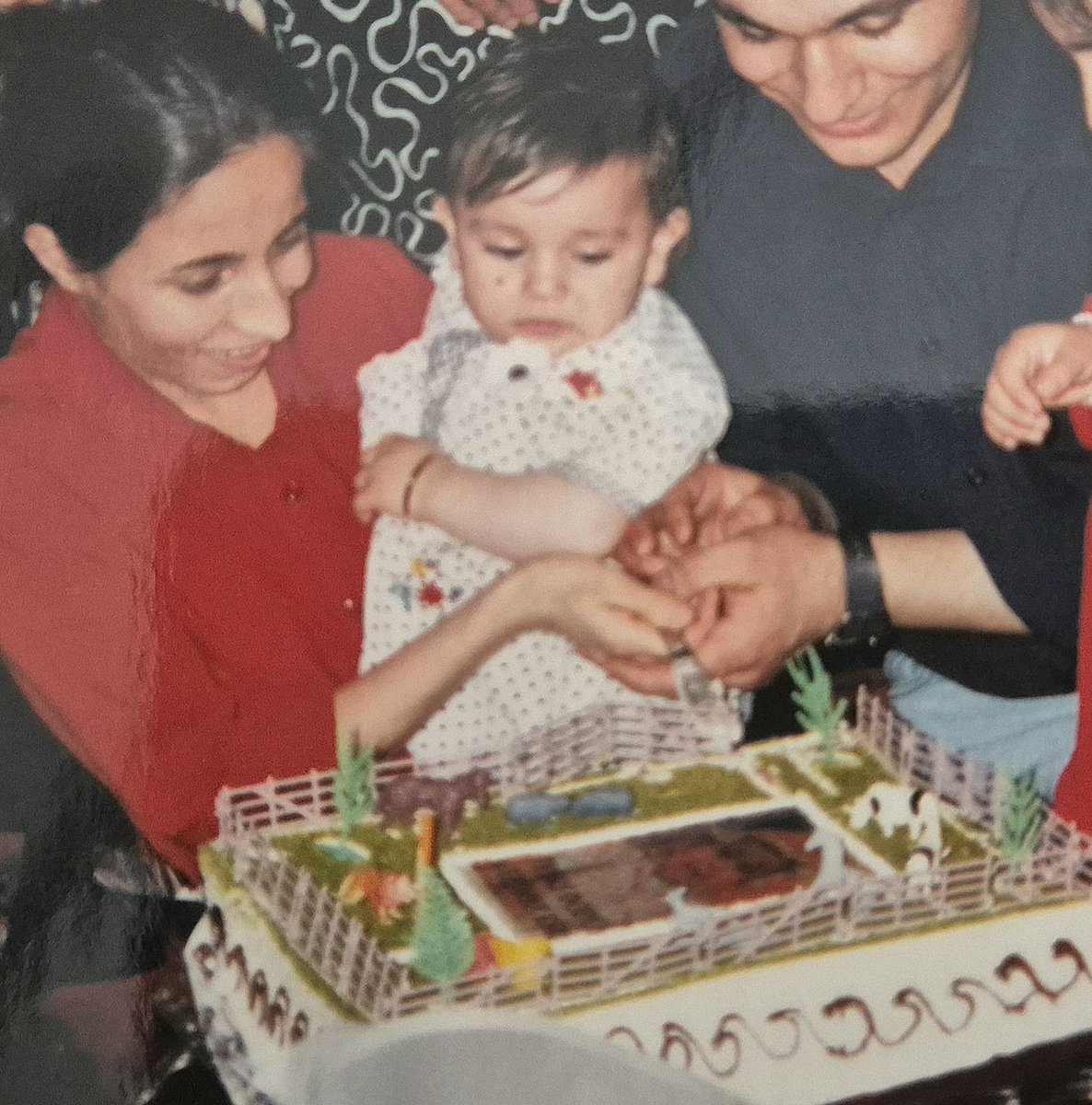 Ali babanın çiftliği konseptli pastam (fotom olmazsa olmaz)