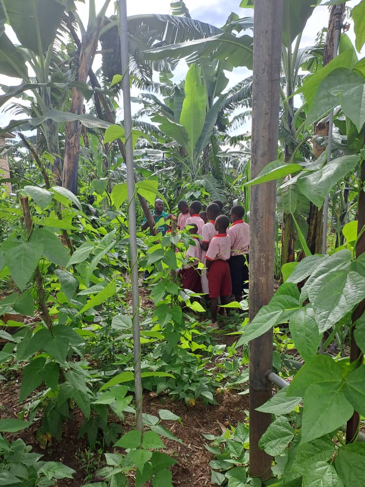 <a href="/JoviaKusiima_/">Jovia Kusiima 🇺🇬</a> <a href="/bwambaledickso/">Bwambale Dickson Murugahara</a> <a href="/DreamAgainAfric/">Dream Again Africa🔰</a> <a href="/_UPFCT/">Uganda Parliamentary Forum To End CM&TP</a> <a href="/andykristian/">Andy Kristian Agaba</a> <a href="/BArabiu953/">Arabiu Chenko</a> <a href="/CivLegacy_F/">CivLegacy Foundation</a> <a href="/DKamwine/">Dorah Kamwine</a> <a href="/EJNuwasasira/">EJ Nuwasasira</a> <a href="/GloriaNabunnya/">Nabunnya Gloria</a> Let us act together, advocate for policy change and amplify #WorldFoodDay voices. Work hand in hand, for better food and a equitable future.
 Visit healthpromotionandrightswatch.org to learn how you can contribute. Together, we feed not just bodies, but the promise of tomorrow.