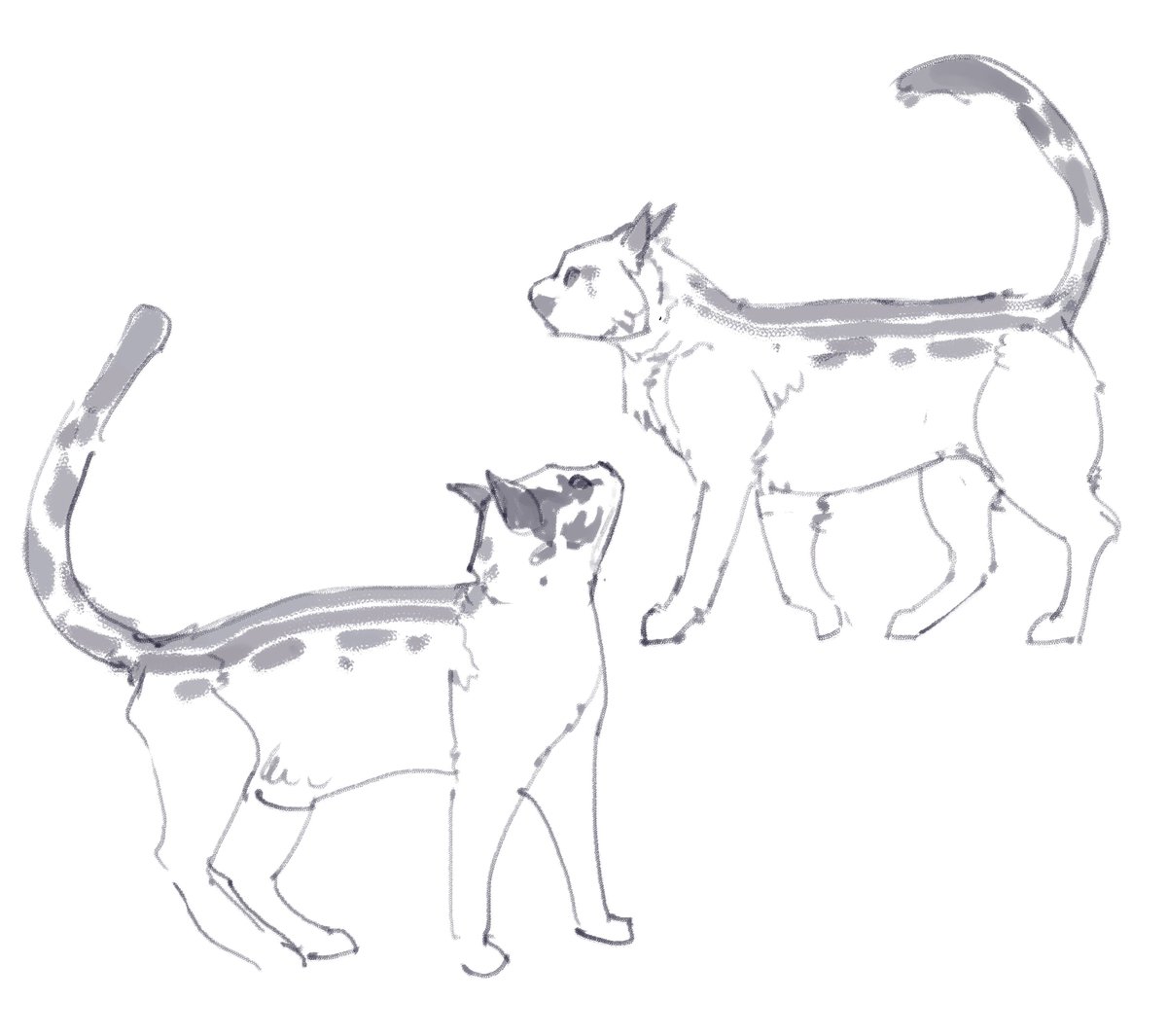 _AzizAlharthi's tweet image. 