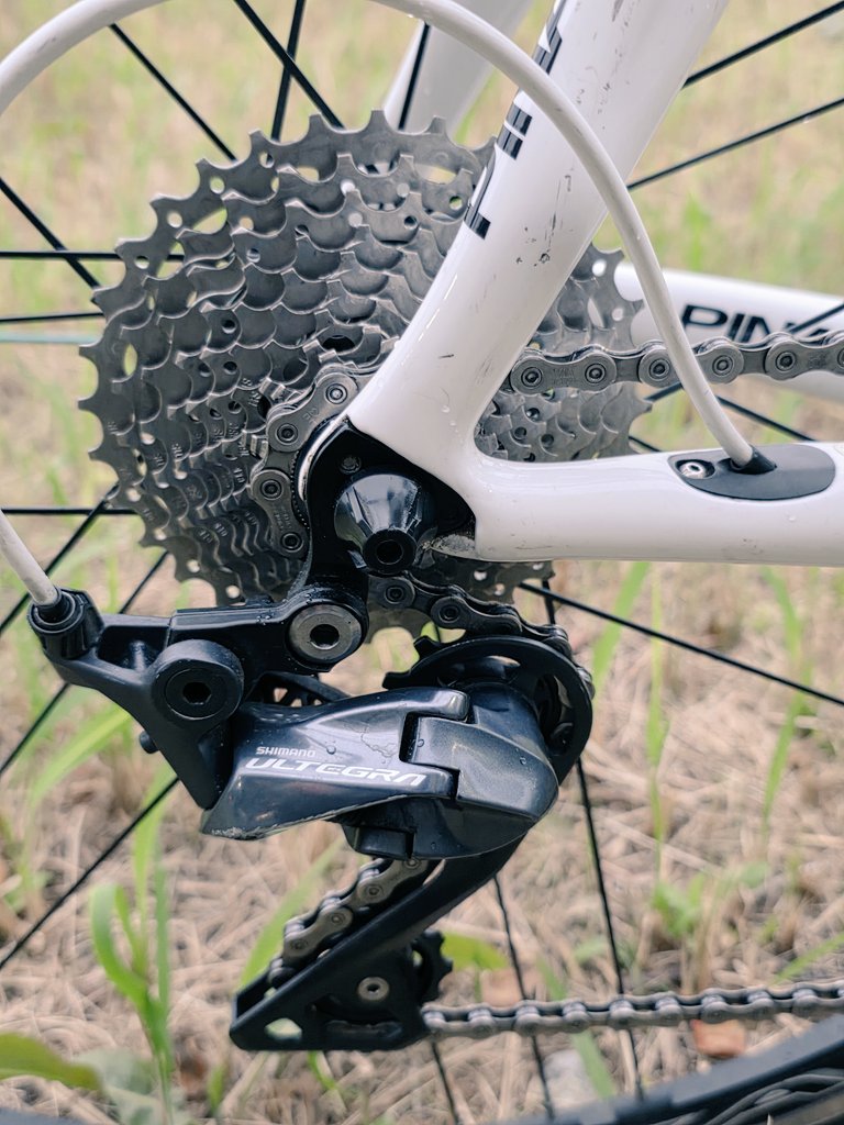 ぴぴ  ページ 000000000558-01-l.jpg?t=