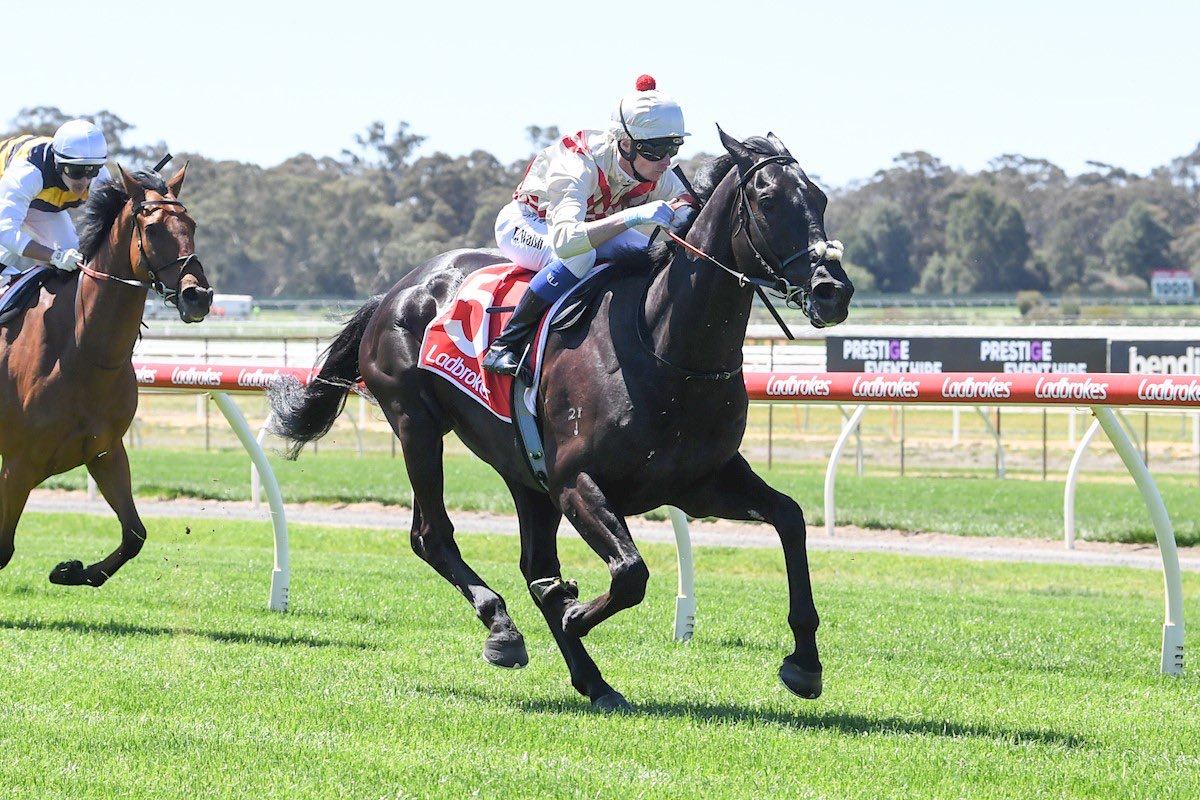 Cumani Racing tweet media