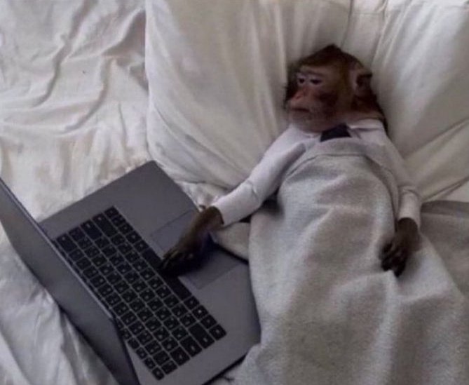 ctrlplusz_gist's tweet image. Happy Sunday Creatives, how is the service going 🤔😉 or you still dey bed