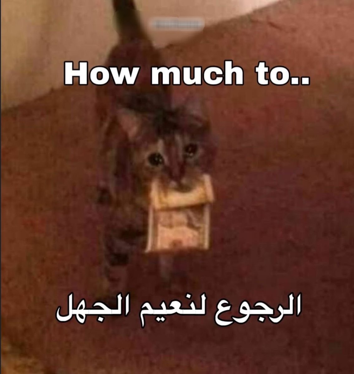 فائقه🌻 tweet media