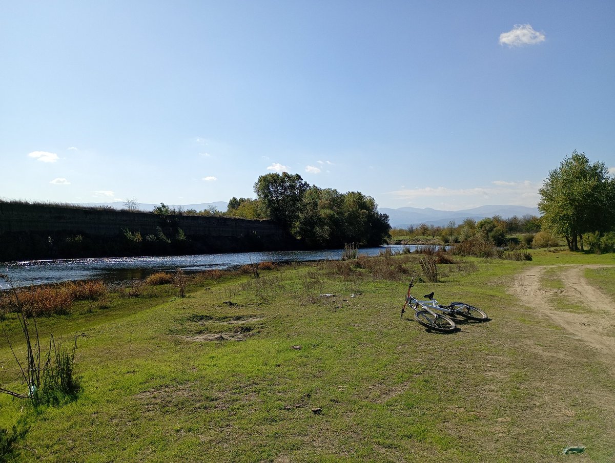 1000mg (@ospam0x) on Twitter photo 