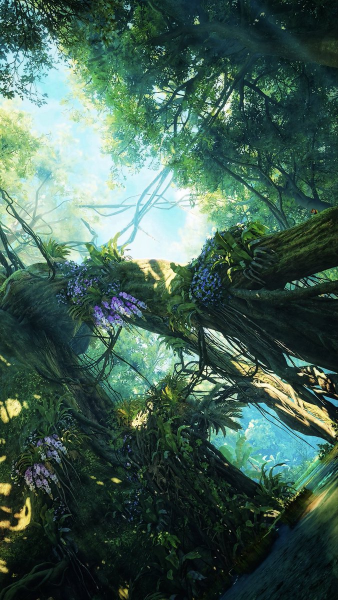_maya_mh_'s tweet image. やっぱり緋の森が落ち着く(๑´▿`๑)
 #MHWilds  #MHWilds_Photomode