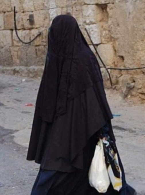 bloomymanoshi's tweet image. no degree of manipulation can convince me that this is modesty and not oppression