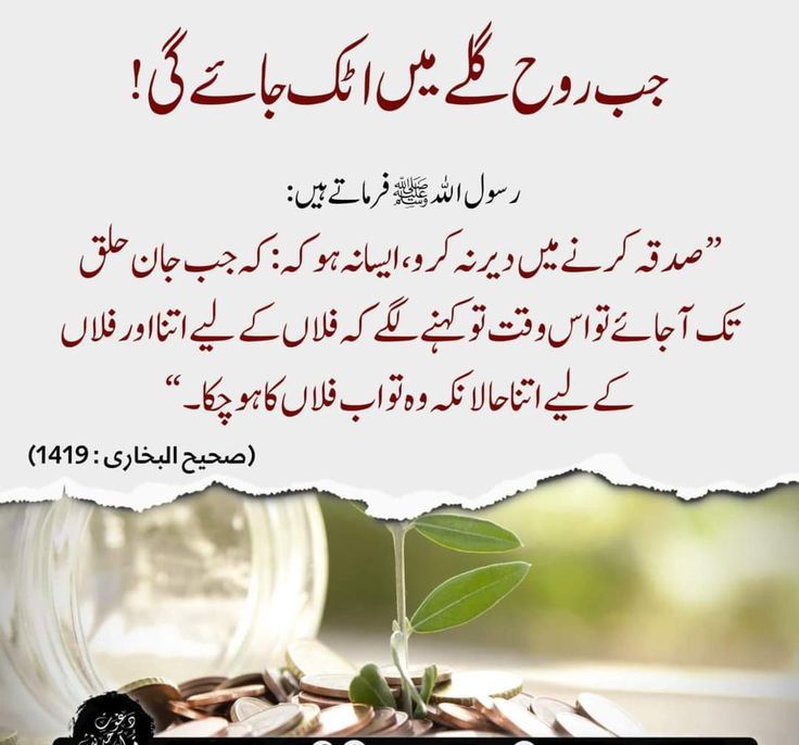 AsghMuhammad's tweet image. #Hadees
#Islam