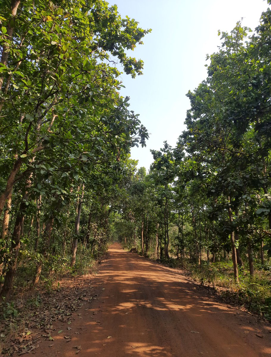 Agnimitra Talapatra (@agnimitratalap1) on Twitter photo 