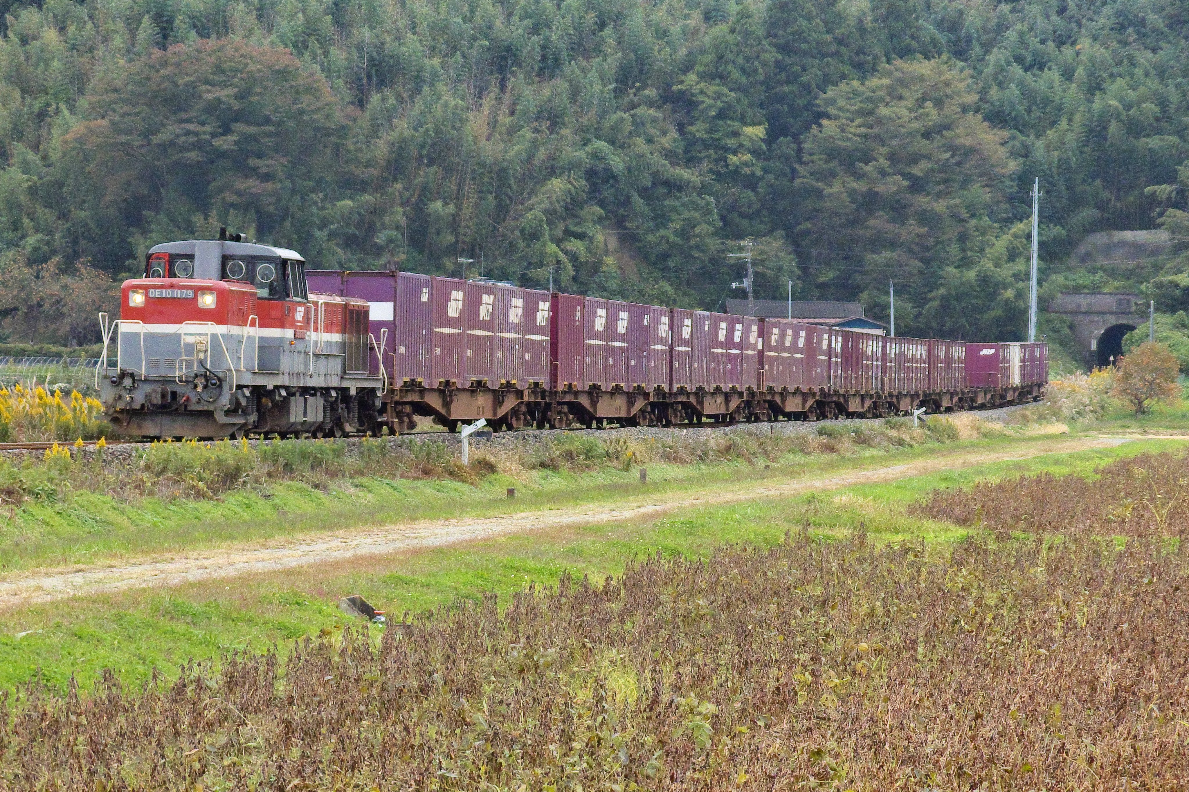 Yoppy　金中線天地野毛小石　黒　４本 吉野天井板 ニューテン・S 9.5mm 1.45×12版 板目（清流） 吉野