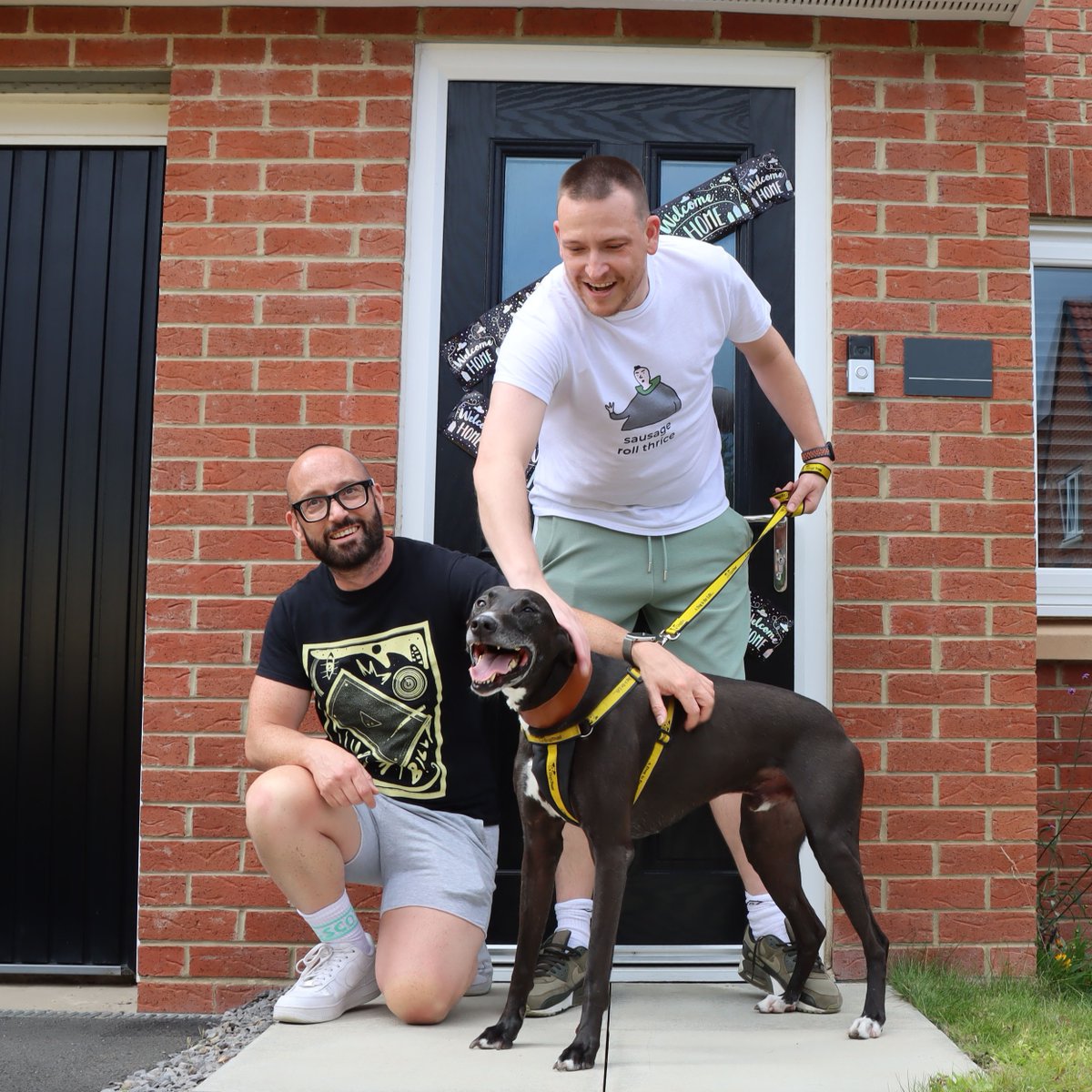 DogsTrust's tweet image. We are over the moon to announce that Flash, the adorable Lurcher who spent over three years in our care has finally found his forever home!🎉

Back in June, Flash made his TV debut on the local news after he celebrated his ninth birthday, his third in Dogs Trust care...
