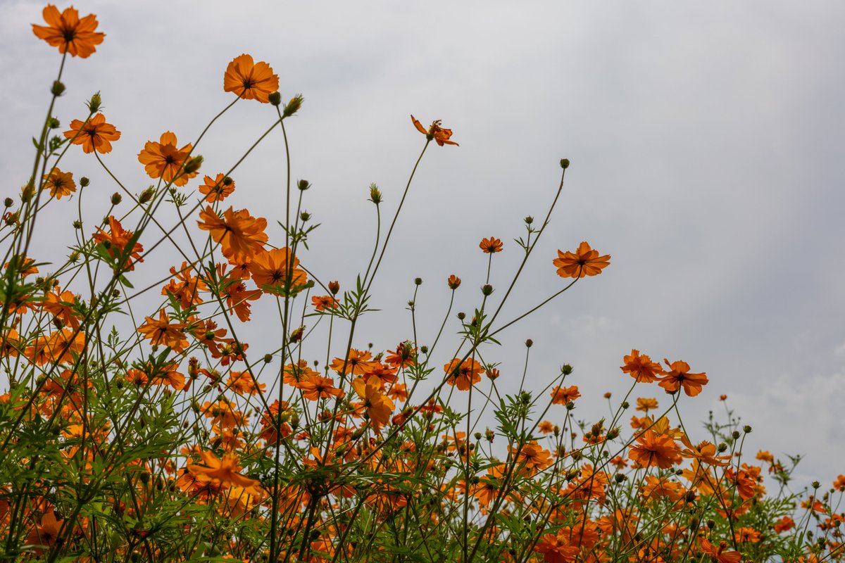 おつかれさま
今日もがんばった自分をほめてあげたい

#おつかれさま
#photography
#ファインダー越しの私の世界
#写真好きな人とつながりたい