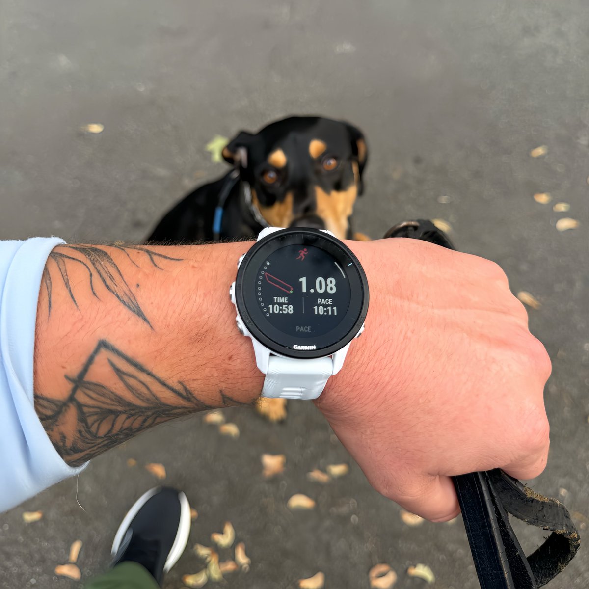 CrapStripe tweet media