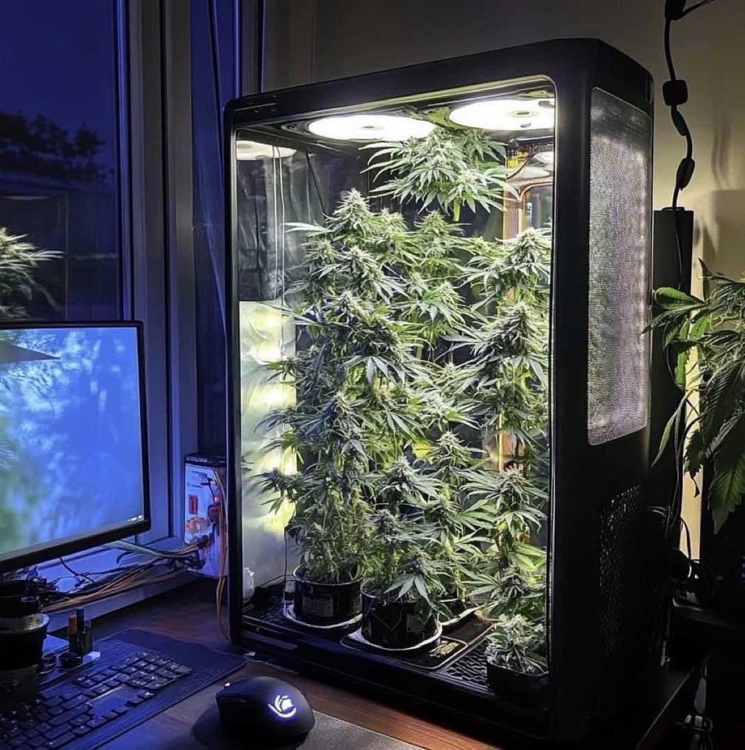 Takasi Tsunoda tweet media