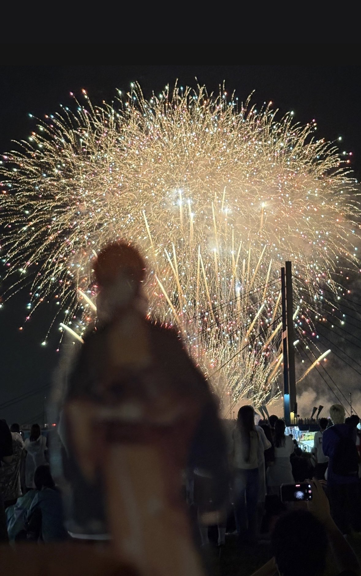 ジェルくん ジェルくん 【公式通販】