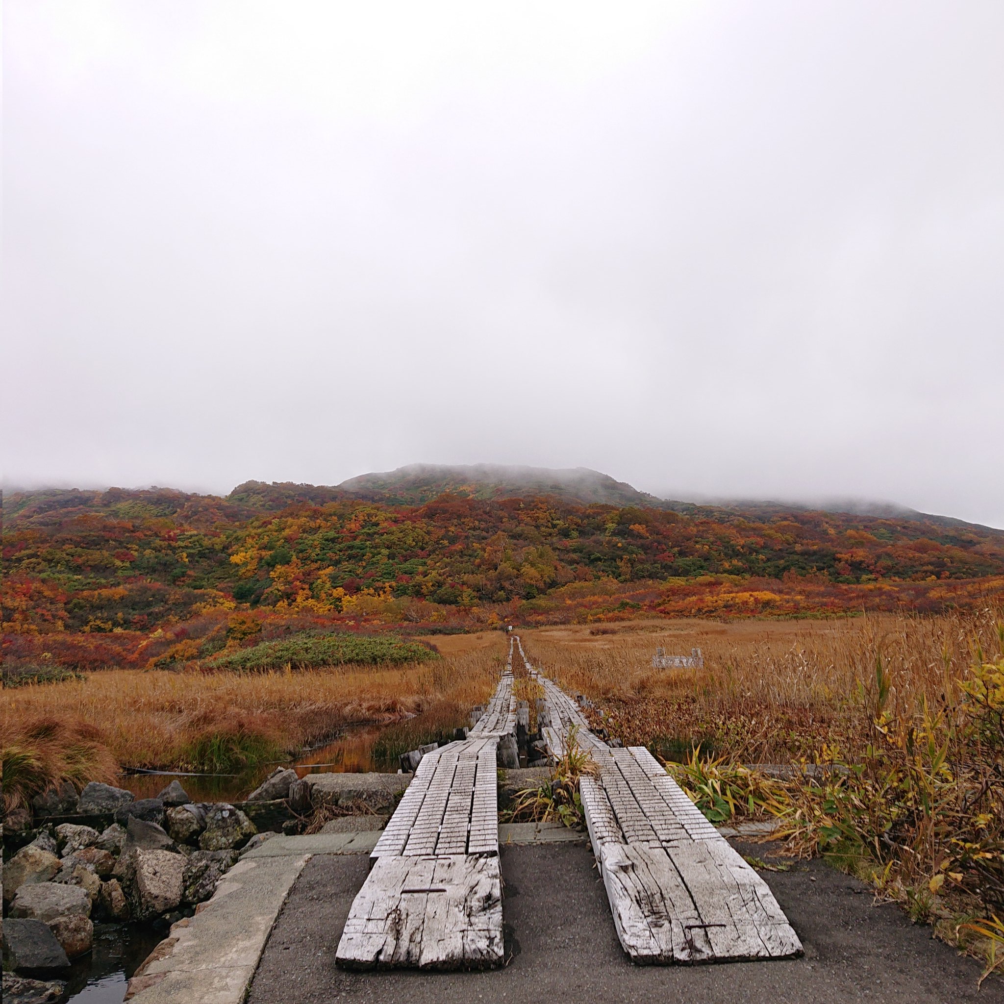 TOMO ROCK MTBer40th year on X: 