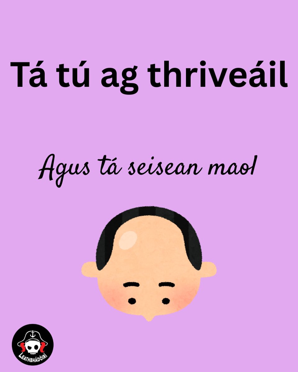 Maidin mhaith a chairde