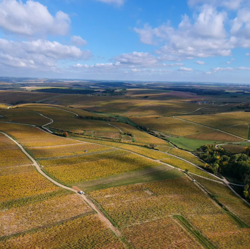 Le vignoble de l'Yonne sublimé par les splendides couleurs de l'automne
>>lyonne.fr/auxerre-89000/…