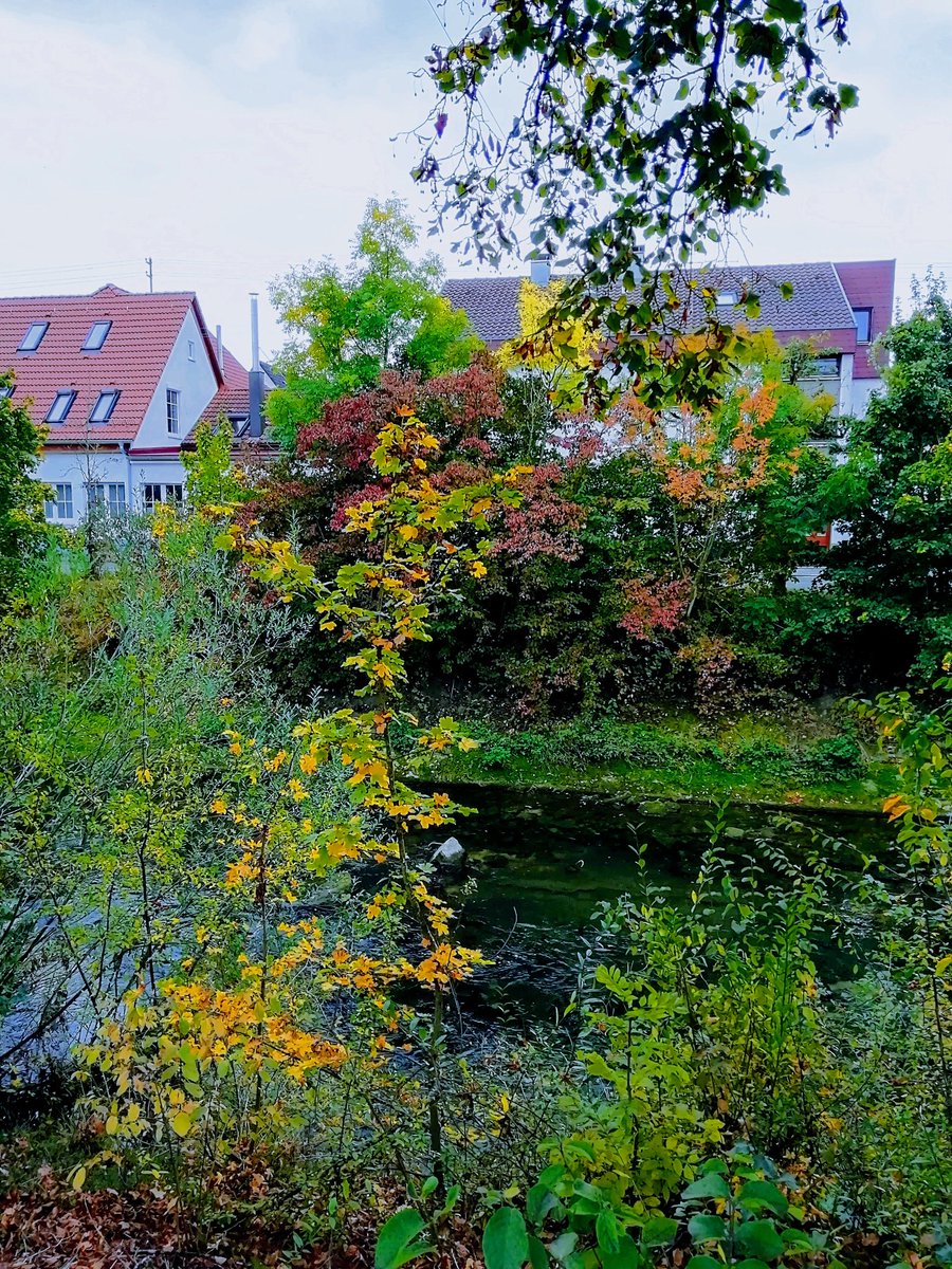 Doc_Beule's tweet image. Am Neckar entlang...