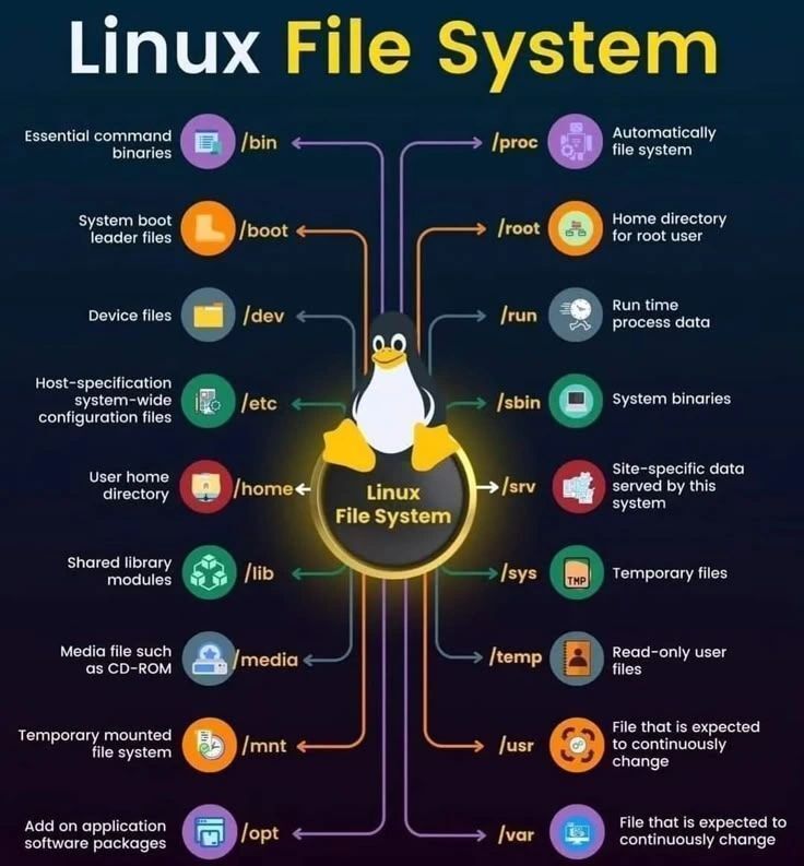HackBlog5's tweet image. Linux File System 101
