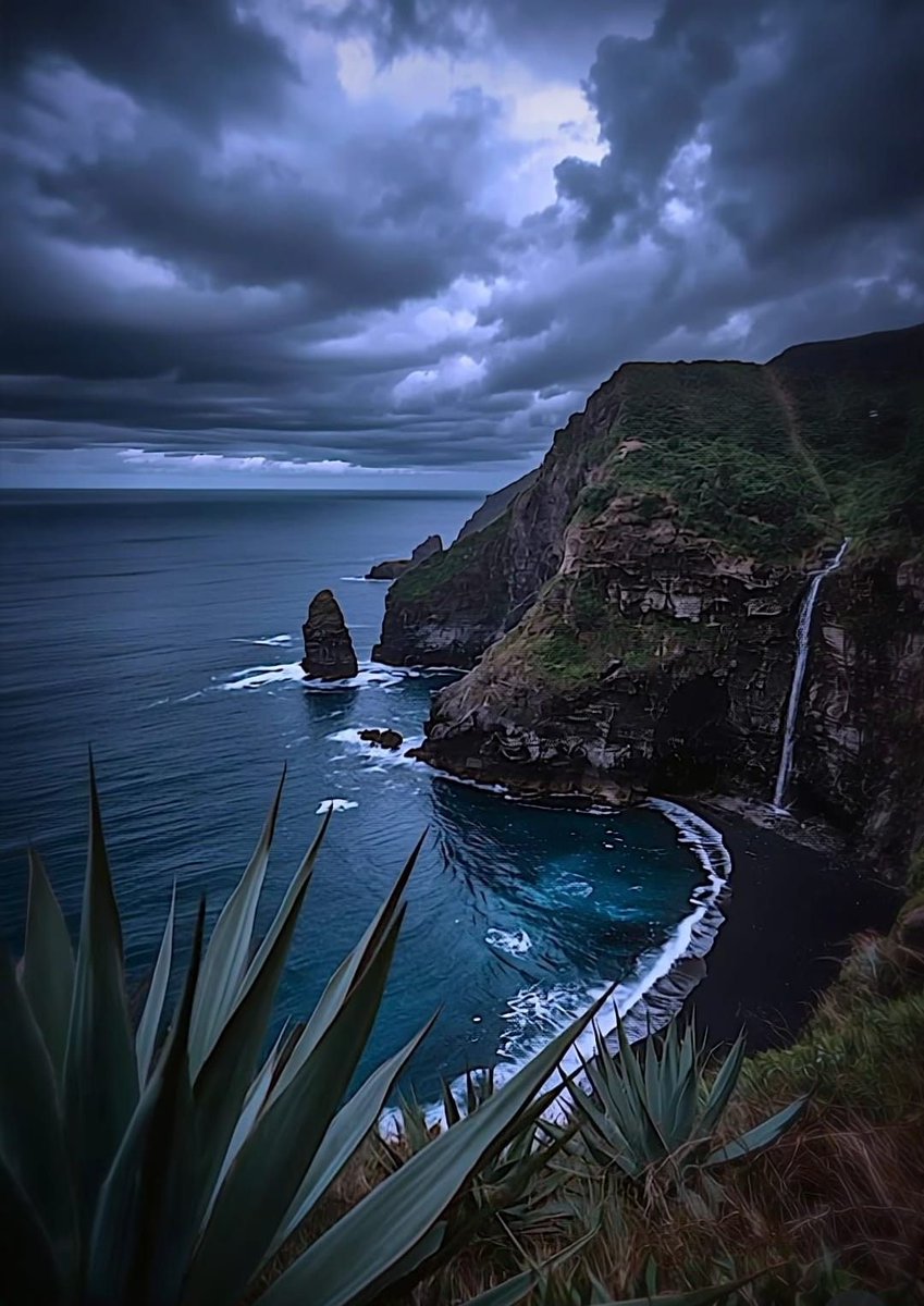 GALATEA💜✨ (@galatea321) on Twitter photo 