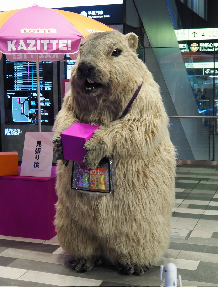 jmhs(チャッキー) (@shjm5309) / Posts / X