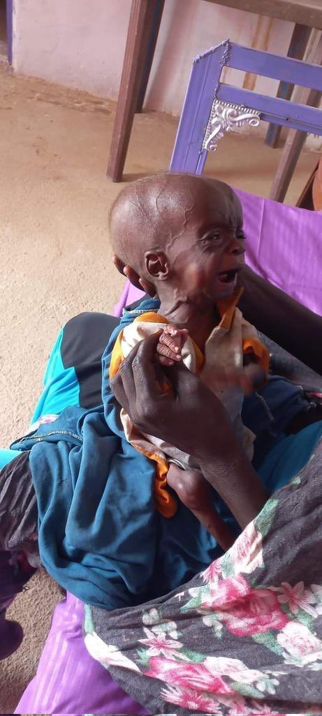 red beard 🇩🇿🇲🇷🇹🇳🇲🇦🇱🇾 tweet media