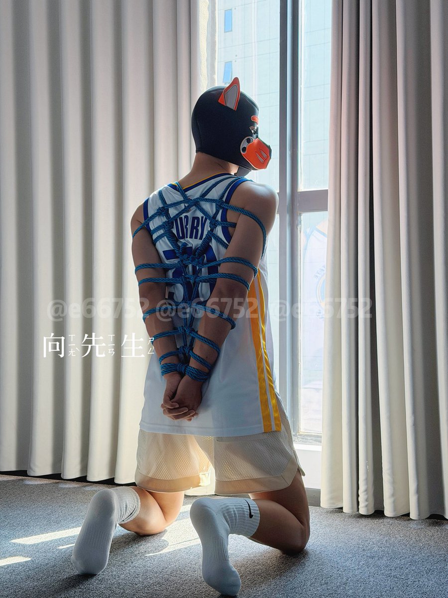 小向先生 tweet media