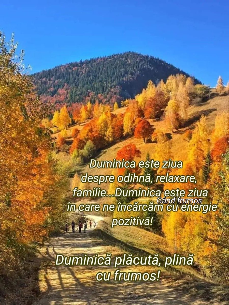 Duminică frumoasă și liniștită vă doresc tuturor alături de cei dragi vouă!🍂🍂🍂