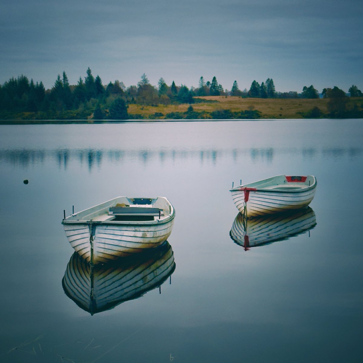 Pete Stevens tweet media