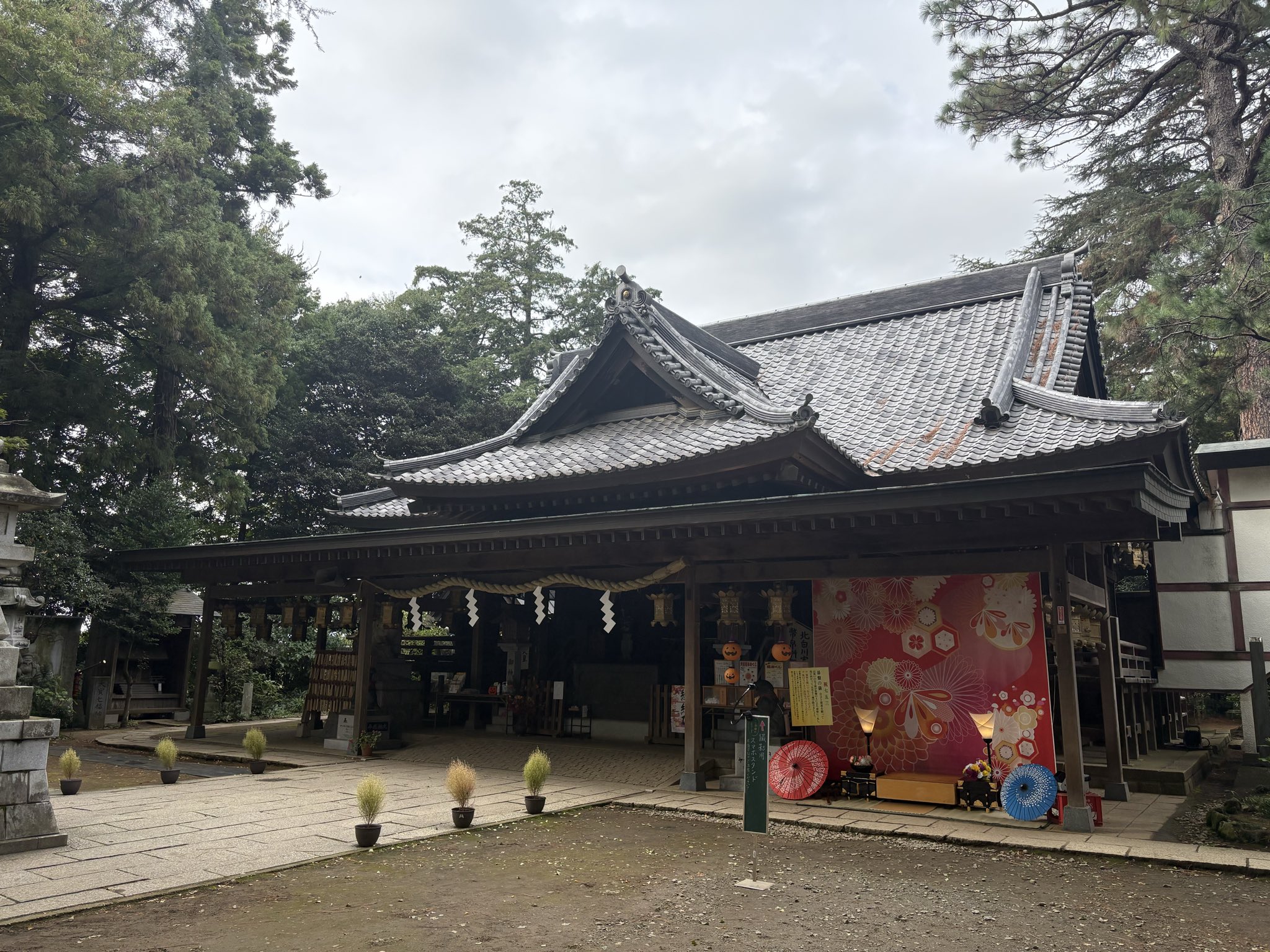 幢幡 1076257 Polyester QUARTER GAUGE ストライプコード – 瀧定